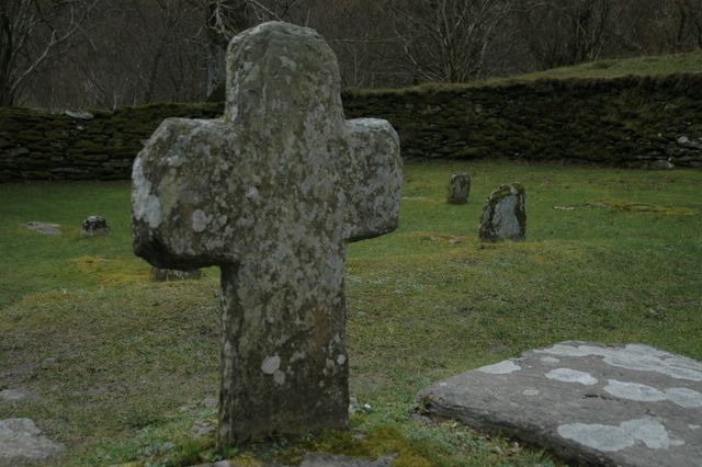 dsc_1722.jpg (large)